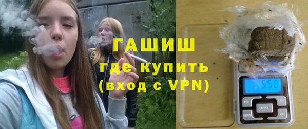 шишки Богородицк
