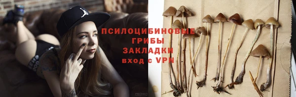 шишки Богородицк