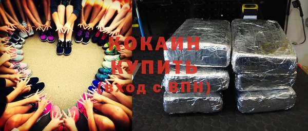 шишки Богородицк