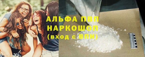 spice Богданович