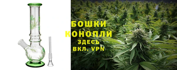 шишки Богородицк