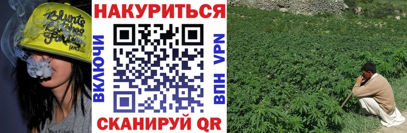 кракен онион  Дегтярск  Бошки марихуана LSD WEED 